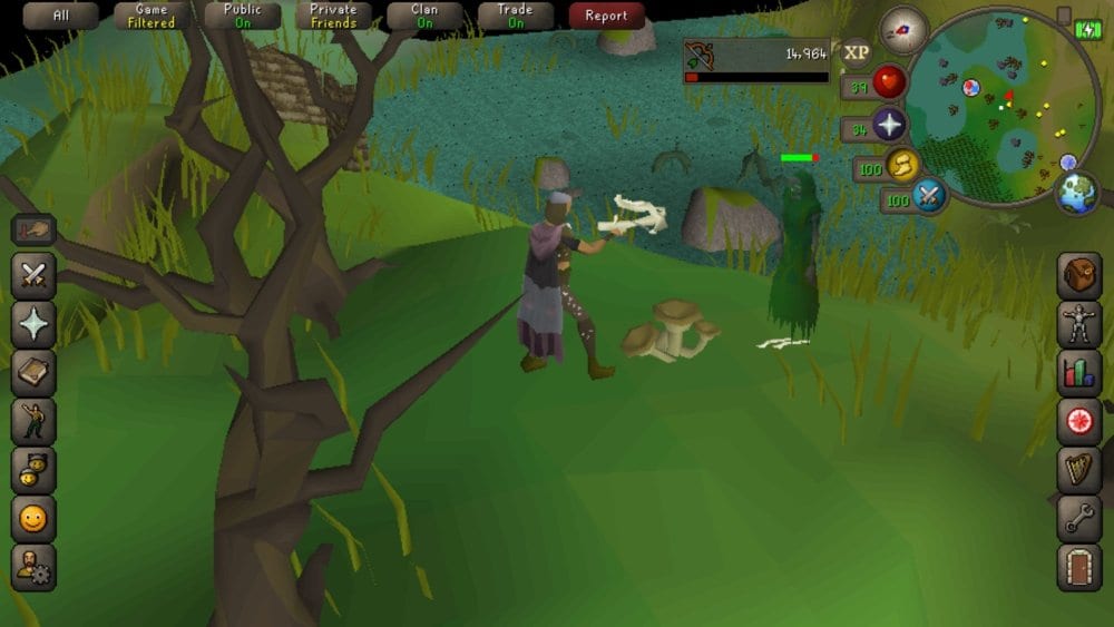 runescape glitch