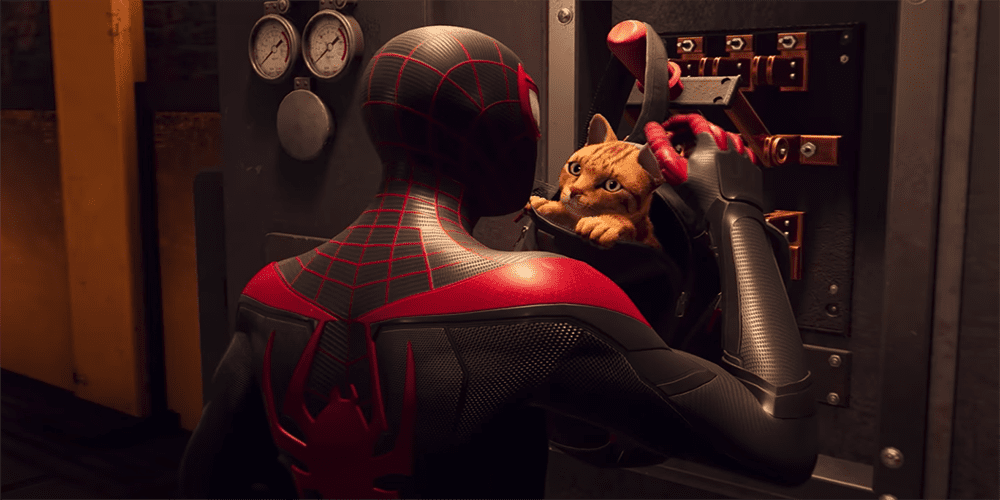 miles morales spider-cat