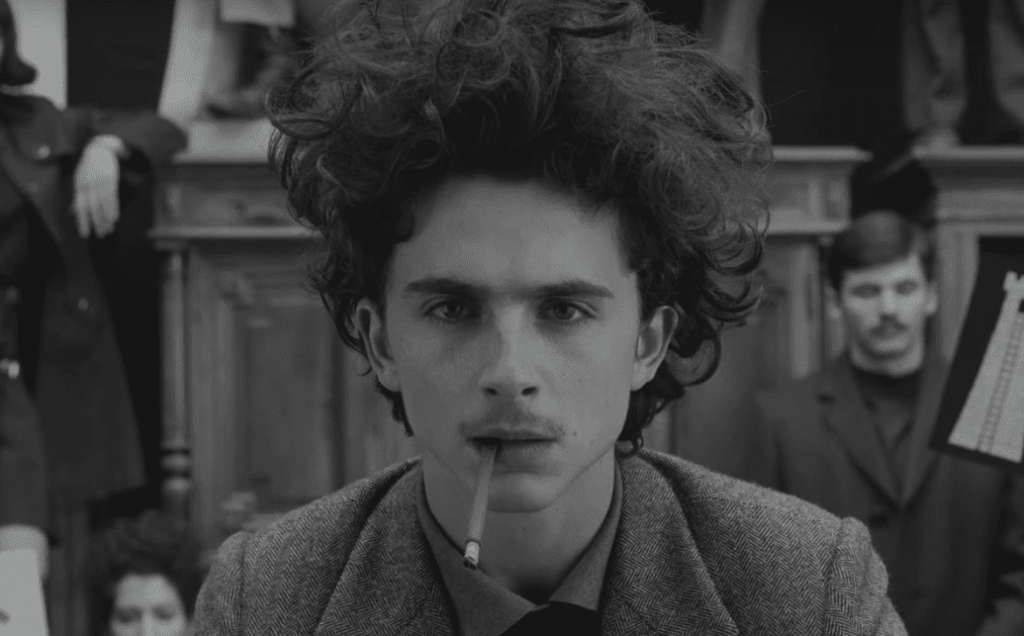 Timothee Chalamet, Wes Anderson