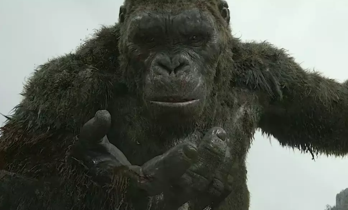 Godzilla vs Kong sequel rumors