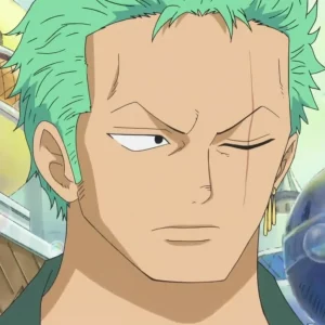 Roronoa Zoro Theory