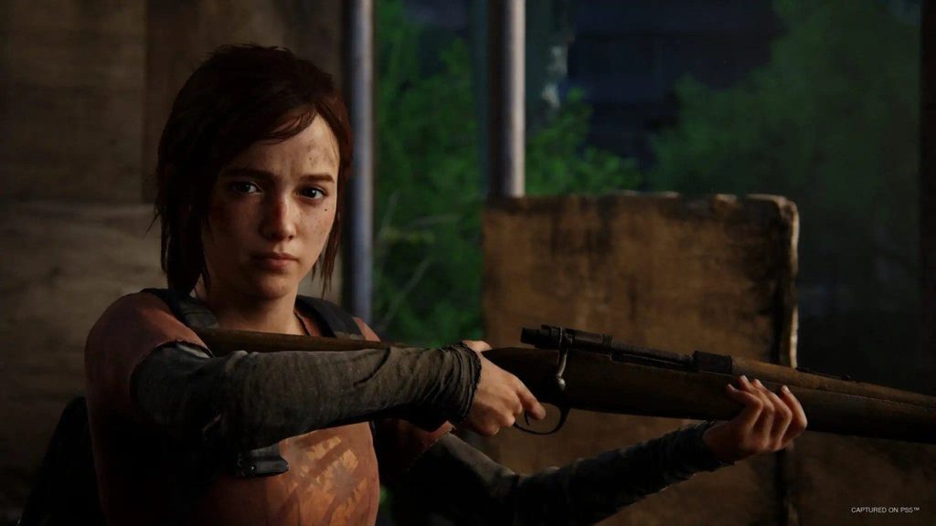 Last of Us Remake