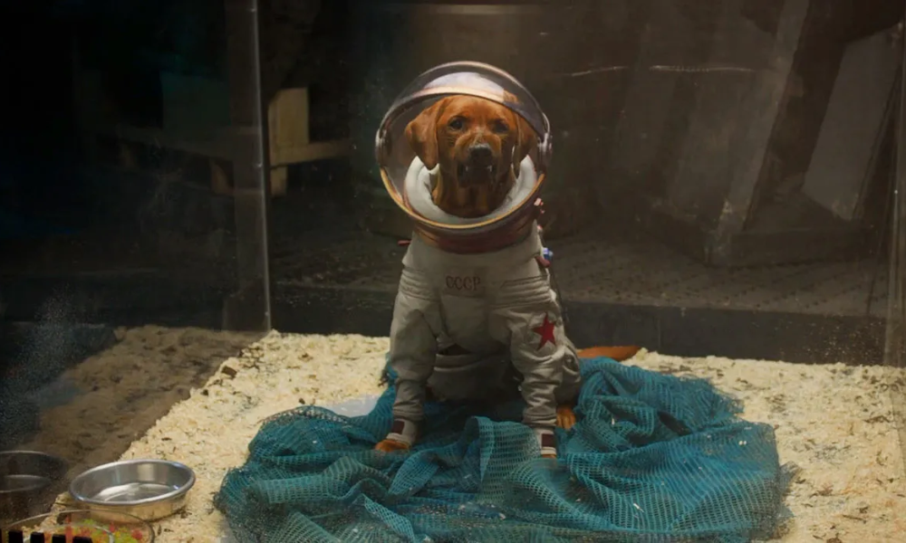 cosmo the space dog