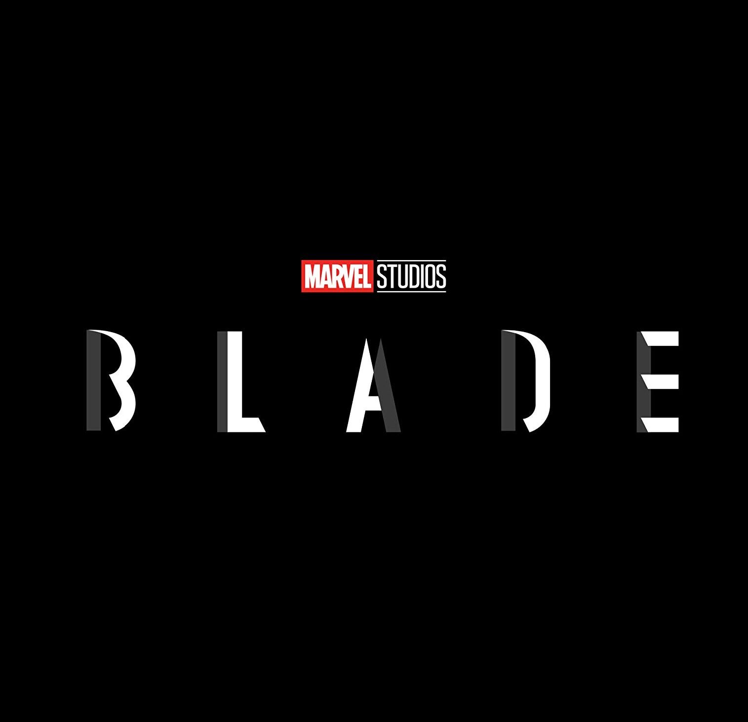 Blade reboot loses director