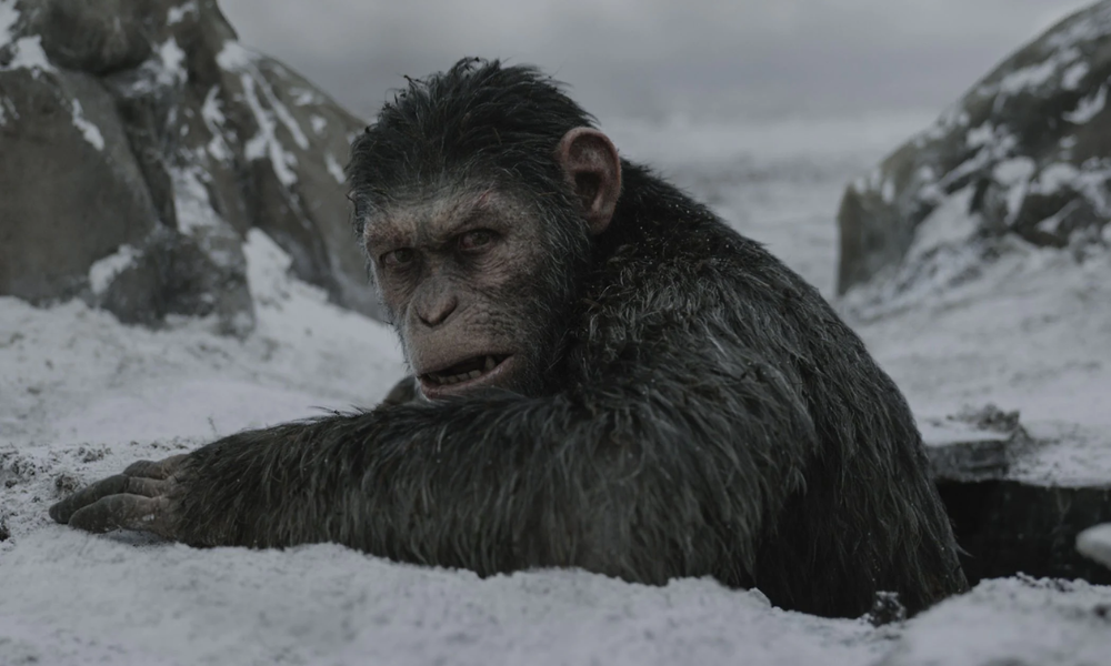 caesar war of the planet of the apes