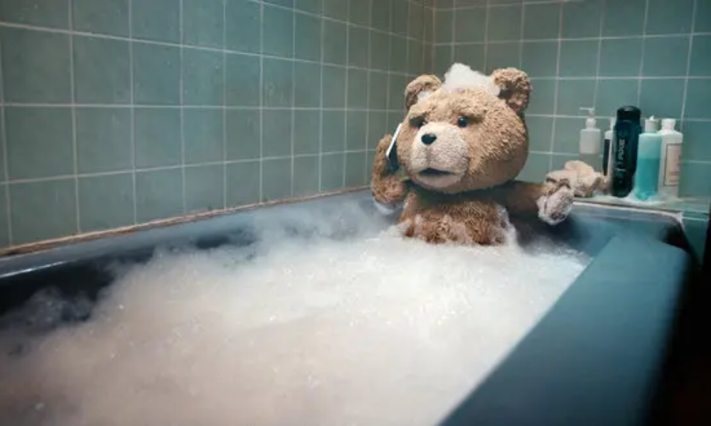 Ted TV series